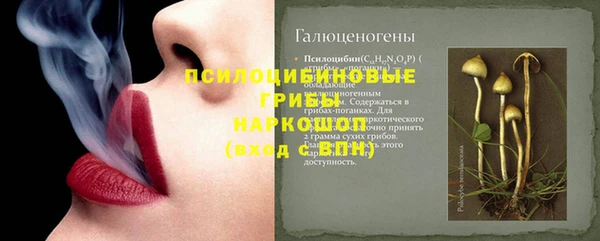 стаф Карталы
