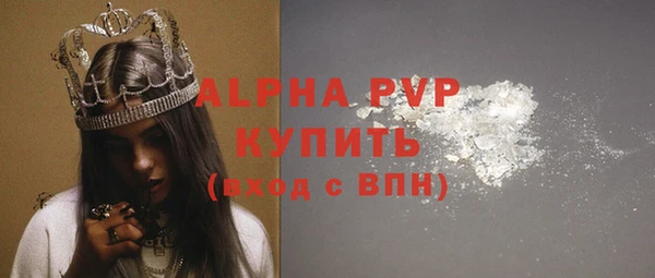 мдпв Краснослободск