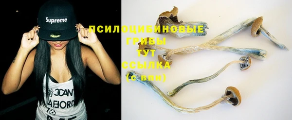 молекула духа Кинешма