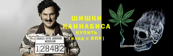 молекула духа Кинешма