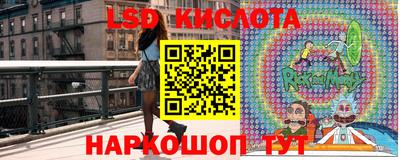 стаф Волгодонск