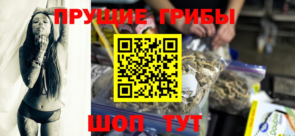 Железноводск  продажа наркотиков  Псилоцибиновые грибы мухоморы  Вход с VPN  Псилоцибиновые грибы ЛСД 