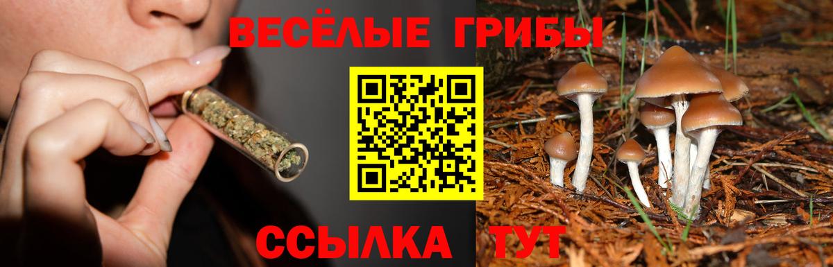 Галлюциногенные грибы GOLDEN TEACHER Железноводск